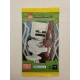 LEGO MINECRAFT karty kolekcjonerskie TCC Seria 1 saszetka 6 kart