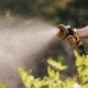 Pistolet zraszający Fiskars Multi Comfort
