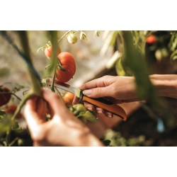 Nóż składany Fiskars X-series K80 7,7 cm