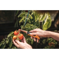 Nóż składany Fiskars X-series K80 7,7 cm
