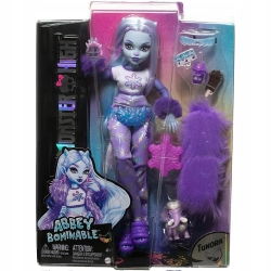 Lalka Mattel Monster High Abbey Bominable 29 cm