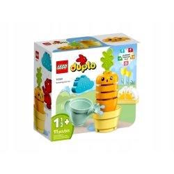 LEGO Duplo 10981 Rosnąca marchewka