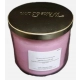 Świeca zapachowa PINK APPLE PUNCH Bath & Body Works