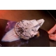 Star Wars: The Ultimate Pop-Up Galaxy Matthew Reinhart NOWA W FOLII