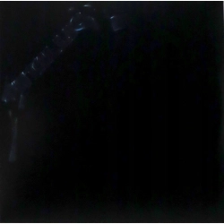 Metallica (Black Album Remastered) Metallica Winyl
