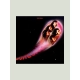 Płyta winylowa Deep Purple - Fireball (180g) Deep Purple Winyl