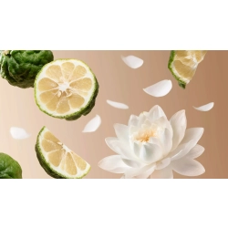 Rituals The Iconic Collection Travel Soleil d'Or 15 ml woda perfumowana