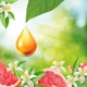 Air Wick Active Fresh Odświeżacz Powietrza WKŁAD Grejpfrut Pomarańcza Zapas