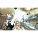 Singularity PC WYDANIE BEST OF PL