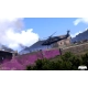 Arma III PC premierowe