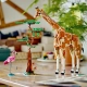 LEGO Creator 3 w 1 31150 Zwierzęta safari