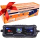 Prostownik automatyczny Volt Polska 6PRO122408 8A