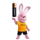 Bateria alkaliczna Duracell AAA (R3) 5 szt.