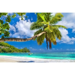 Calvin Klein Eternity 100 ml EDP