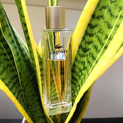 Lacoste Perfumy Pour Femme 90ml Woda Perfumowana Kobieta EDP