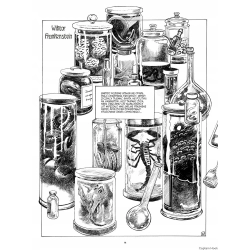 Mary Shelley. Frankenstein Georges Bess