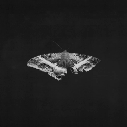 To Pimp a Butterfly Kendrick Lamar Winyl Limited