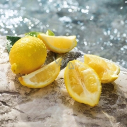 WODA TOALETOWA Dolce & Gabbana Light Blue Summer Vibes 125ml InterSKLEP