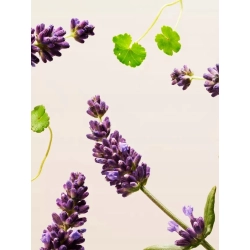 Krem ujędrniający do twarzy Rituals The Ritual of Namaste na noc 50 ml