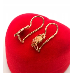 Złote kolczyki wiszące Pr.583 W:2,84gr Dł:2,2cm InterSKLEP