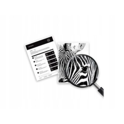 4x tusz HP 903 CMYK zestaw 6ZC73A oryginał