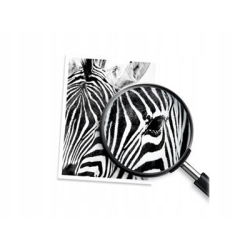 4x tusz HP 903 CMYK zestaw 6ZC73A oryginał