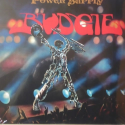 Power Supply Budgie Winyl NOWA W FOLII