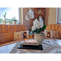 Biokominek wolnostojący Globmetal TRADE 36 x 6 x 15 cm czarny InterSKLEP