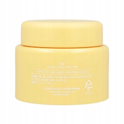 Krem nawilżający do twarzy the SAEM Care Plus dzień i noc 100 ml