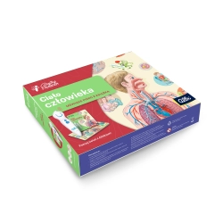 Zestaw ciało człowieka 5+ ALBI InterSKLEP