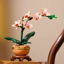 LEGO Botanicals 10343 Miniaturowa Orchidea