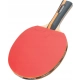 RAKIETKA DO TENISA STOŁOWEGO PING PONGA HEAD ARIERO STRIKE