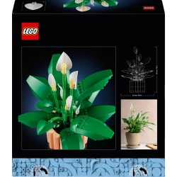 LEGO Botanicals 11504 Skrzydłokwiat opis