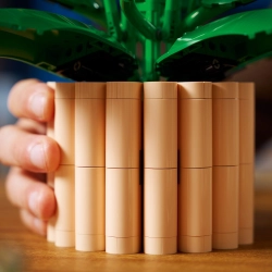 LEGO Botanicals 11504 Skrzydłokwiat opis