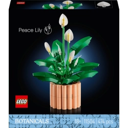 LEGO Botanicals 11504 Skrzydłokwiat opis