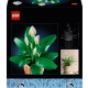 LEGO Botanicals 11504 Skrzydłokwiat opis