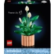 LEGO Botanicals 11504 Skrzydłokwiat opis