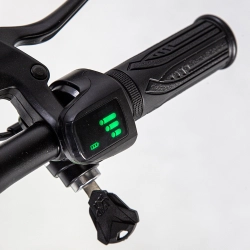 Hulajnoga elektryczna Manta Flinston II 350 W OKAZJA InterSKLEP