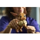 Zestaw klocków LEGO Pokemon Eevee 587 elementów 72151 InterSKLEP