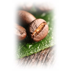 Kawa ziarnista Arabica Melitta BellaCrema Speciale 1000 g InterSklep