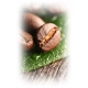 Kawa ziarnista Arabica Melitta BellaCrema Speciale 1000 g InterSklep