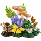 LEGO Botanicals 11505 Grzyby leśne NOWOŚĆ InterSKLEP