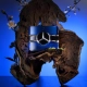 Mercedes-Benz Sign 50 ml woda perfumowana InterSKLEP