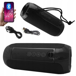 Głośnik przenośny Bluetooth Manta SPK 12GO radio FM AUX USB 10W czarny