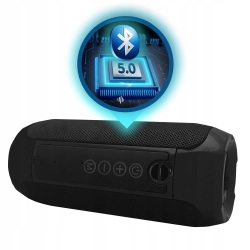 Głośnik przenośny Bluetooth Manta SPK 12GO radio FM AUX USB 10W czarny