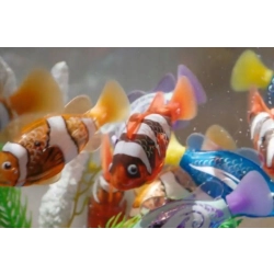 ZURU Robo Fish pływa jak prawdziwa Rybka zmienia kolor niebieska ryba robot