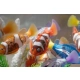 ZURU Robo Fish pływa jak prawdziwa Rybka zmienia kolor niebieska ryba robot