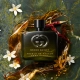 Woda perfumowana Gucci Guilty Absolu 60 ml InterSKLEP