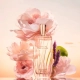 Yves Rocher Comme une Evidence woda perfumowana dla kobiet 100 ml InterSKLE