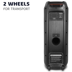 ibiza SOUND Columba 1200 Aktywny bezprzewodowy głośnik Bluetooth 1200 W